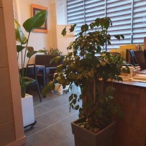 [기자단] 제천철학관