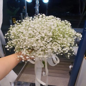 [대전 서구] 달빛아래꽃