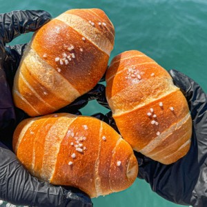 [전남 여수] 염전의봄