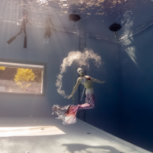 [광주 서구] 현 프리다이빙(염주실내수영장)