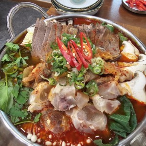 [제주 제주] 애월미나리