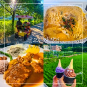 [강원 원주] 날으는자전거