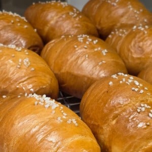 [경기 군포] 카페녹던