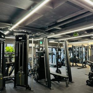 [서울 강남] 책임Gym