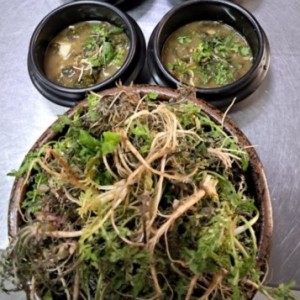 [경남 양산] 약식동원