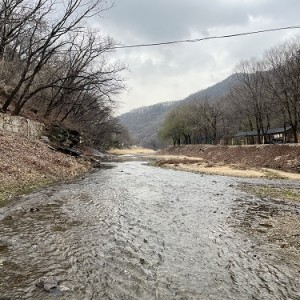 [경기 양주] 진달래동산