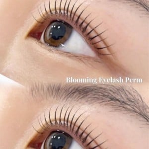 [강원 원주] 블루밍아이래쉬