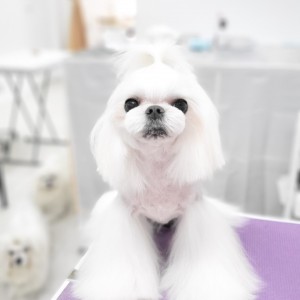 [광주 서구] 크리스타일