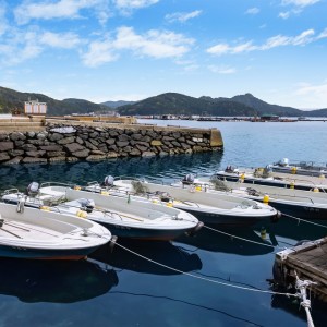 [경남 통영] 장촌낚시