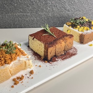 [서울 강남] 셀렉티드닉스