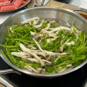 [경남 창원] 리리샤브