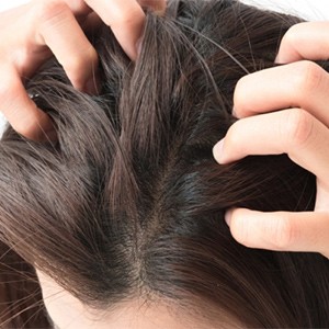 [대구 수성] 힐헤드스파