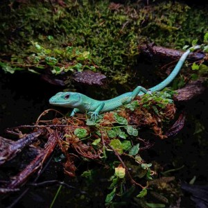 [부산 수영] 아란네이처