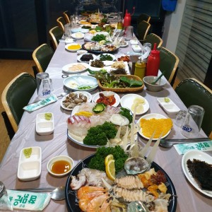 [경북 경주] 돌고래횟집(경주)