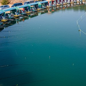 어심바다낚시터