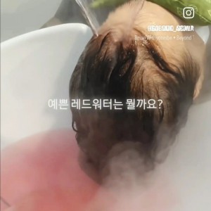 아로모 탈모 두피클리닉