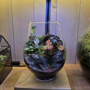 이끼창작스튜디오