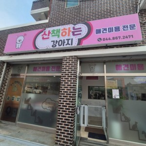 산책하는강아지