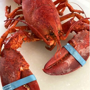 여인천하조개구이