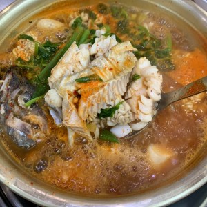 [서울 강남] 생태사랑