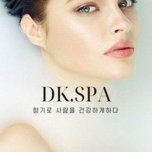 [경기 성남] 디케이스파