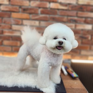 [경남 창원] 꽃내음나개