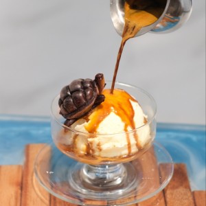 터틀온더웨이브 거북섬