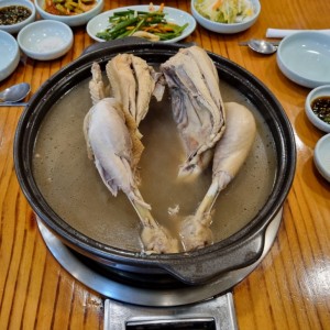 [대전 서구] 복돈오리