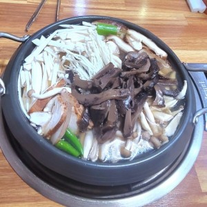 [경남 김해] 산골버섯