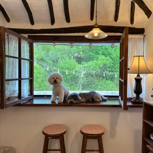 [충남 공주] 스테이보늬밤