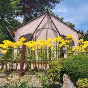 [인천 강화] 오크힐 글램핑