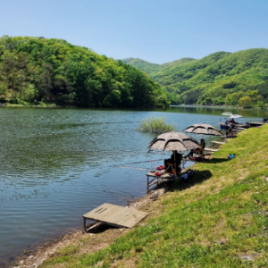 [경기 파주]직천낚시터