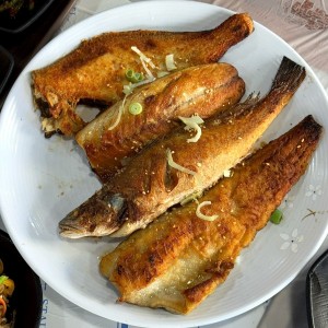 [경남 창원] 아량