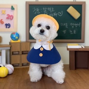 [기자단] 요미와 친구들 애견유치원&애견호텔