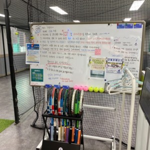 [세종 조치원] 고릴라테니스