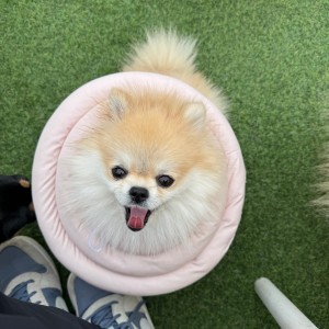 [경기 용인] 아로하스토리