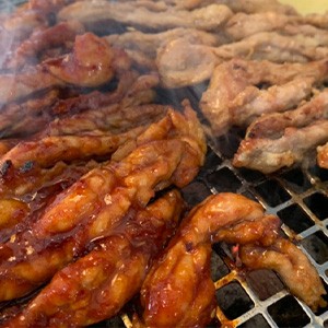 [광주 북구] 화분