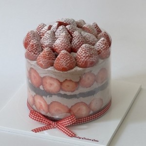 [경기 안성] 제이델링 안성진사리점