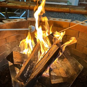 [기자단] 홍시스테이