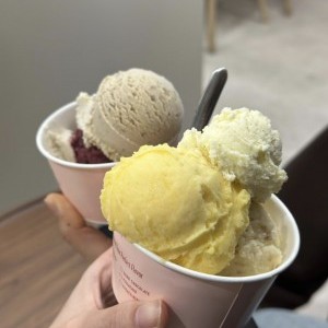 [서울 강남] 팔레트젤라또