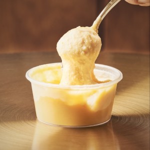 [제주 제주] 천사 카이막