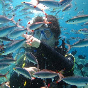 [제주 서귀포] 더퍼플스쿠버다이빙