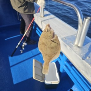 [강원 속초] 속초윤창호바다배낚시체험