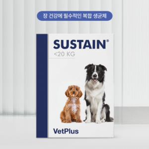 벳플러스(세계 1위 영양제)