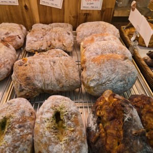 [기자단] 페이장