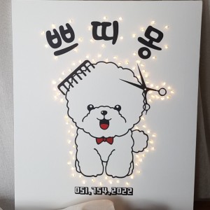 [부산 수영] 쁘띠몽펫샵