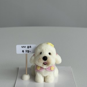 [경기 김포] 댕콤달콤