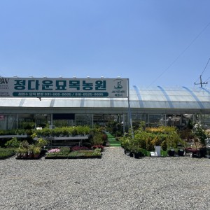 [경기 평택] 정다운묘목농원