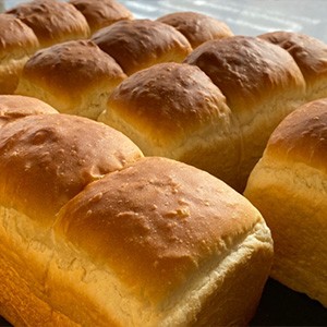 [제주 제주] 조은빵