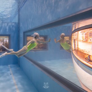 [대전 동구] 체리프리다이빙